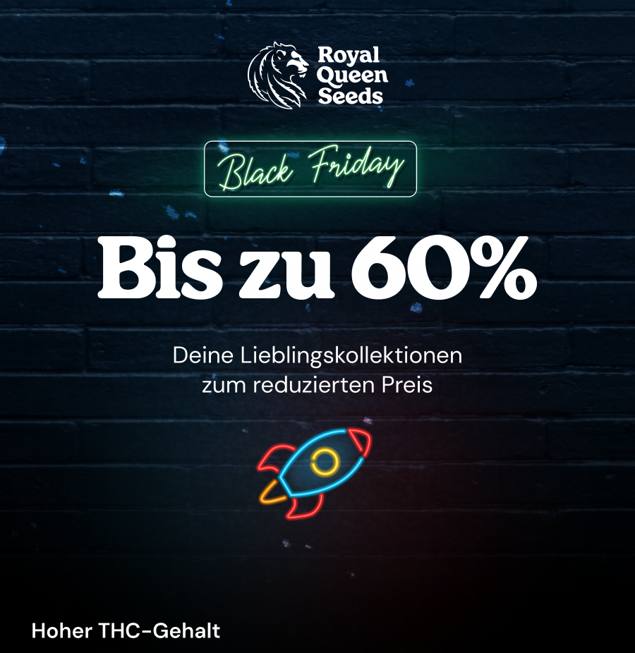 Fan Pack 24h DE desk